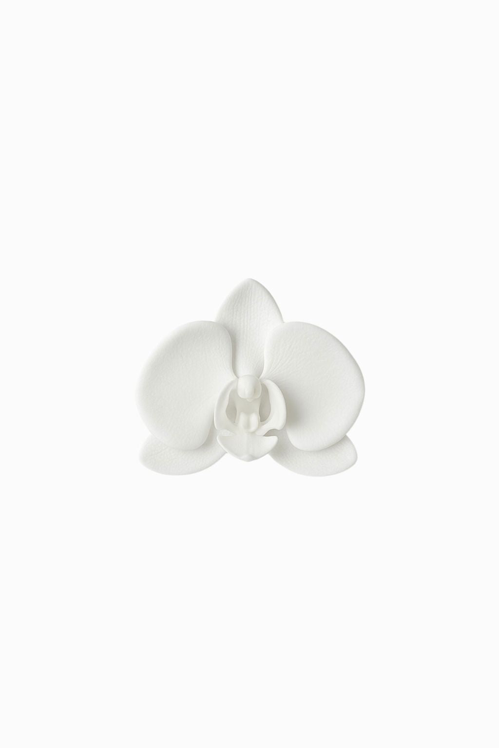 SET OF 10 ORCHID BROOCHES